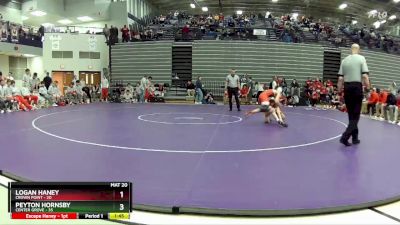 144 lbs Semis & 1st Wrestleback (8 Team) - Peyton Hornsby, Center Grove vs Logan Haney, Crown Point