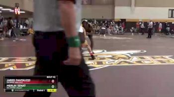 125 lbs Quarterfinal - Merlin Senat, Delaware Valley vs Jared Fantauzzi, Baldwin Wallace