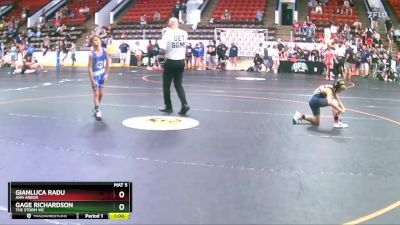 76 lbs Round 1 - Gage Richardson, The Storm WC vs Gianluca Radu, Ann Arbor