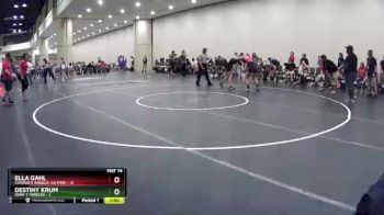 120 lbs Round 6 (10 Team) - Destiny Krum, Iowa T-Wrecks vs Ella Gahl, Charlie`s Angels- GA Pink