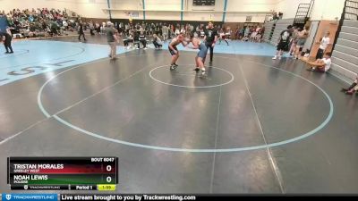 167-173 lbs Round 2 - Tristan Morales, Greeley West vs Noah Lewis, Poudre