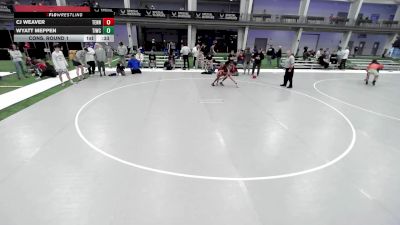 16U Boys - 100 lbs Cons. Round 1 - Wyatt Meppen, Team Idaho Wrestling Club vs Cj Weaver, Tennessee