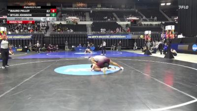 285 lbs Cons. Round 2 - Mauro Pellot, Alvernia vs Myles Johnson, Ohio Northern