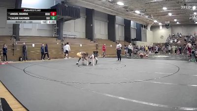 125 lbs Quarterfinal - Angel Banda, Reinhardt University vs Caleb Haynes, St. Andrews University