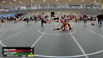 130 lbs Round 2 (6 Team) - Wyatt Lilburn, Triangle WA vs Stella McNeil, Irontide