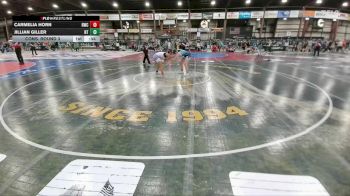 148 lbs Cons. Round 3 - Jillian Giller, New Trier vs Carmelia Horn, Remnant Wrestling Club