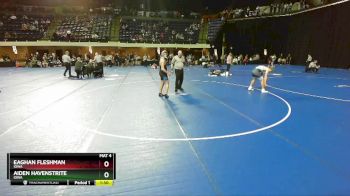 195 lbs Semifinal - Aiden Havenstrite, Iowa vs Eaghan Fleshman, Iowa