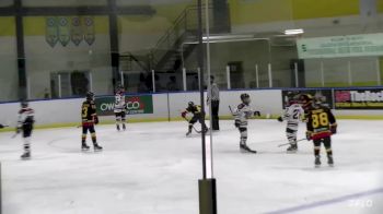Replay: Home - 2023 Bulls U12 vs Petes U12 | Nov 23 @ 2 PM
