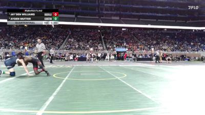 D1-165 lbs Quarterfinal - Jay`Den Williams, Roseville vs Ayden Mutter, Clarkston