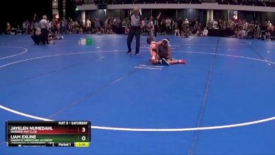 110 lbs Round 1 - Jayelen Numedahl, Warrior Mat Club vs Liam Exline, Hawkeye Wrestling Academy