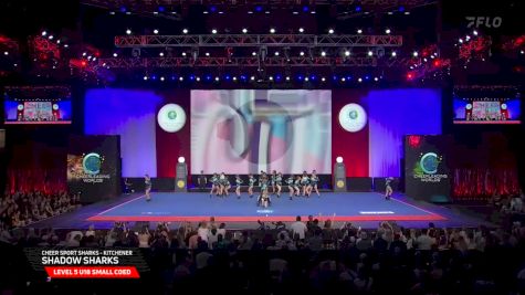 Cheer Sport Sharks - Kitchener - Shadow Sharks [2025 L5 U18 Small Coed Finals] 2025 The Cheerleading Worlds