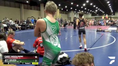 90 lbs Round 4 (8 Team) - Wyatt Cornwall, Williamson County WC vs Gage Richardson, Panhandle Punishers