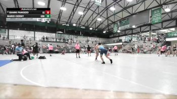 150-159 lbs 1st Place Match - Gianni Panozzo, Clifton Central vs Mario Cierny, SouthStrong