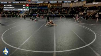 130 lbs Champ. Round 1 - Alexi Glaza, Mount Vernon vs Jocelyn Freed, AP/GC
