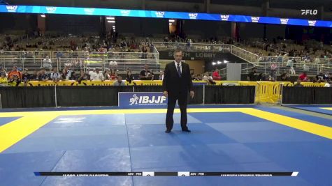 Jacob Aiden Baquero vs Harvey Kenichi Truong 2025 Pan Kids Jiu-Jitsu IBJJF Championship