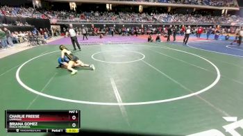 5A 126 lbs Cons. Round 1 - Charlie Freese, Lampasas vs Briana Gomez, Frisco Memorial