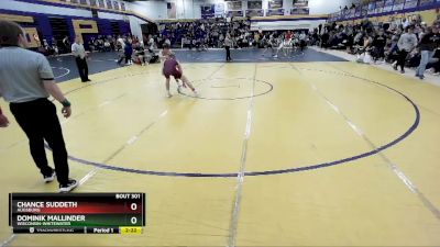 133 lbs 1st Place Match - Chance Suddeth, Augsburg vs Dominik Mallinder, Wisconsin-Whitewater