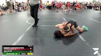 92 lbs Round 3 (8 Team) - Dom Ellis, HFL vs Robert Hambardzumien, New England Gold