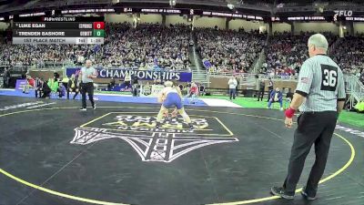 D2-138 lbs 1st Place Match - Trenden Bashore, DeWitt HS vs Luke Egan, Cedar Springs HS