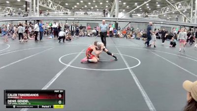 80 lbs Placement (4 Team) - Caleb Tsikerdanos, Warhawks vs Denis Gendel, Top Dawg Academy