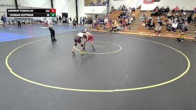 125 lbs Quarterfinal - Dorian Hoffman, Baldwin Wallace vs Andrew Punzalan, Wabash