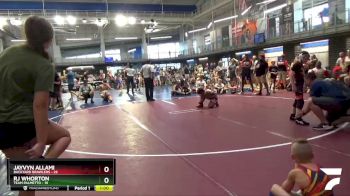 110 lbs Semis & 3rd Wb (16 Team) - RJ Whorton, Team Palmetto vs Jayvyn Allami, Backyard Brawlers