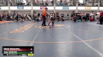 99-106 lbs Round 4 - Emily Hamilton, Redbird Wrestling Club vs Grace Aeschliman, Metamora Township High School