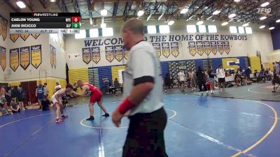 215 lbs Round 3 (8 Team) - Jude DiCicco, Alpha WC vs Caelon Young, Naperville Central