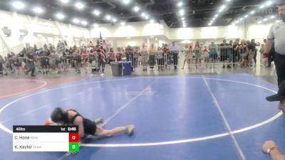 46 lbs Round Of 16 - Cutler Hone, Iron County Wr Ac vs Kashton Kaylor, Team Aggression