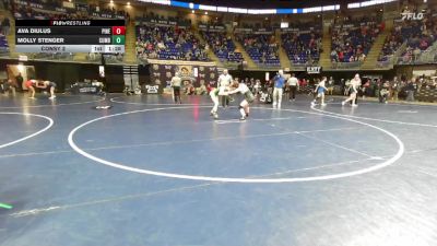 110 lbs Consy 2 - Ava Diulus, Pine Richland vs Molly Stenger, Cumberland Valley