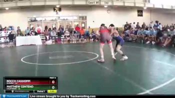 102 lbs Round 2 (8 Team) - Rocco Cassioppi, Illinois vs Matthew Centeno, California