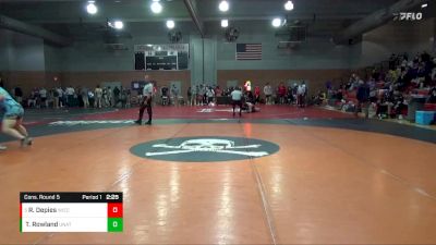 197 lbs Cons. Round 5 - Ryder Depies, Wisconsin - Eau Claire vs Tyler Rowland, Unattached