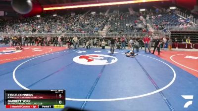 77 lbs Quarterfinal - Garrett York, Big Piney Pinners Wrestling Club vs Tyrus Connors, Buffalo Outlaws Wrestling Club