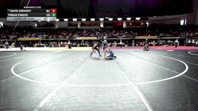 149 lbs Consi Of 16 #2 - David Gregory, Hillsdale College vs Tobias Pinson, Colorado State