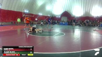 120 lbs Round 4 (16 Team) - Ruger Block, Cambridge-Isanti White vs Gabe Roehl, Buffalo
