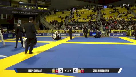 Zane Hieu Nguyen vs Felipe Goulart 2025 World Jiu-Jitsu IBJJF Championship