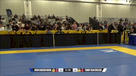 Tommy Sean Grealish vs Ariyan Hadizadeh Mavini 2024 World IBJJF Jiu-Jitsu No-Gi Championship