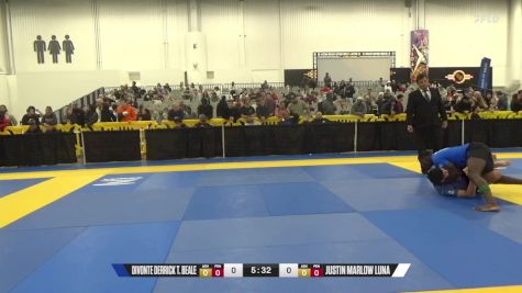 Justin Marlow Luna vs Divonte Derrick T. Beale 2024 World IBJJF Jiu-Jitsu No-Gi Championship