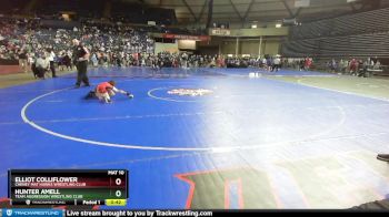 67 lbs Cons. Round 4 - Hunter Amell, Team Aggression Wrestling Club vs Elliot Colliflower, Cheney Mat Hawks Wrestling Club