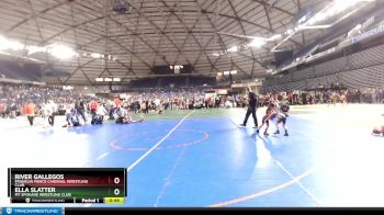 40 lbs 2nd Place Match - River Gallegos, Franklin Pierce Cardinal Wrestling Club vs Ella Slatter, Mt Spokane Wrestling Club