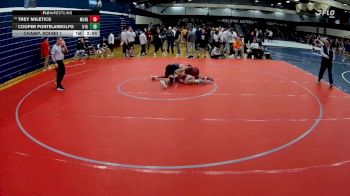 157 lbs Champ. Round 1 - Cooper Pontelandolfo, Nyu vs Trey Miletics, Muhlenberg