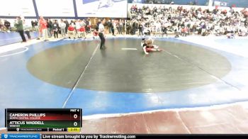 125 lbs Champ. Round 1 - Cameron Phillips, North Central College vs Atticus Waddell, Wabash