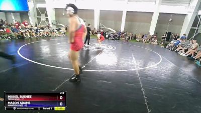 215 lbs Quarterfinals (8 Team) - Mikkel Bushee, Texas Gold vs Mason Adams, Minnesota Red