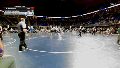 250 lbs 3rd Place - Lucas Risser, Coudersport vs Dakota Carmona, Canon-McMillan