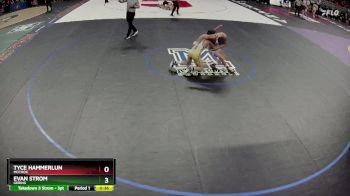 Cons. Round 2 - Tyce Hammerlun, McCook vs Evan Strom, Gering