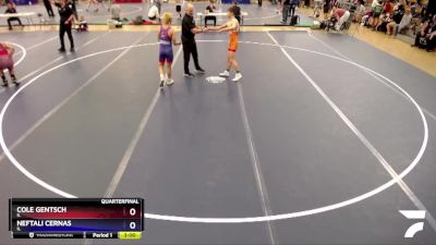 120 lbs Quarterfinal - Cole Gentsch, IL vs Neftali Cernas, IL