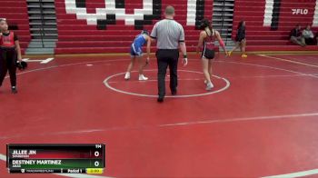 114 lbs Semifinal - Jillee Jin, Sparkman vs Destiney Martinez, Arab