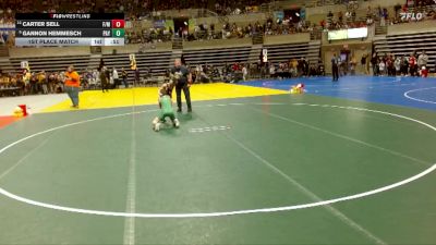 85 lbs 1st Place Match - Carter Sell, F/MCC vs Gannon Hemmesch, Paynesville