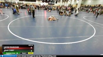 98 lbs Cons. Round 5 - Jacob Penzkover, WI vs Adam Carey, IA