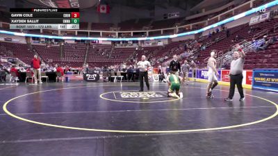 172 lbs Consi 1 - Gavin Cole, Council Rock South vs Xayden Sallit, Emmaus